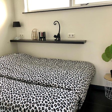 Strand 16 Apartment Егмонд ан Зее Екстериор снимка