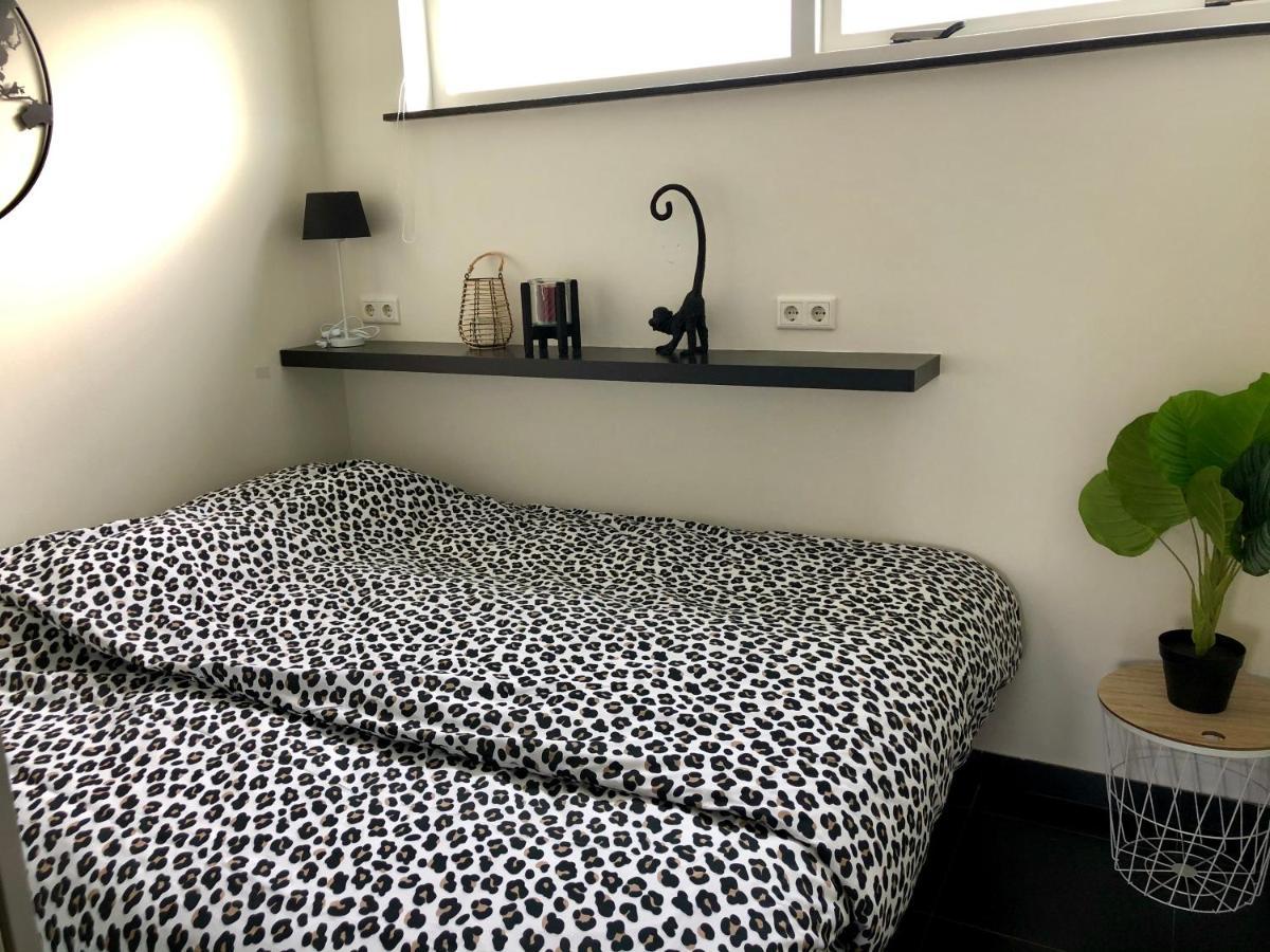 Strand 16 Apartment Егмонд ан Зее Екстериор снимка